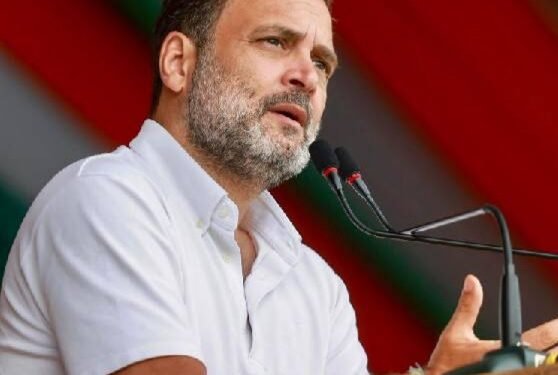 बिहार में 20% दलित वोट को टारगेट करने की कोशिश, चुनाव से पहले राहुल गांधी ने खेला दांव …