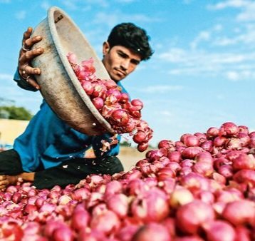 किसानों के हित में रक्षा के लिए उठाया गया कदम, 1 अप्रैल से प्याज पर 20% निर्यात शुल्क वापस लिया सरकार ने…