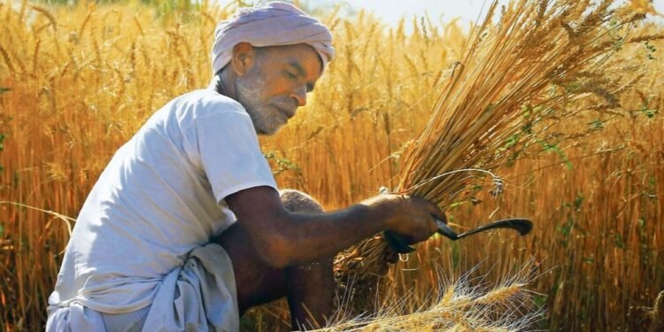 फसल बीमा के नाम पर किसानों के साथ मजाक, किसानों के बजाय कंपनी को हुआ मुनाफा…