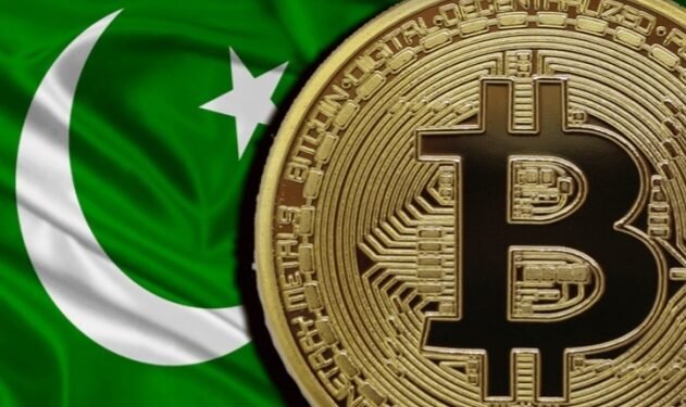 आर्थिक मंदी से निपटने के लिए क्रिप्टोकरंसी को वैध बनाने की योजना बना रहा पाकिस्तान…
