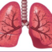 अस्वास्थ्यकर का जीवन शैली से फेफड़ों पर पड़ता है असर, इन 10 नेचुरल तरीकों से करें फेफड़ों की सफाई …