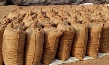 सरगुजा में 5000 से ज्यादा बोरा धान का फर्जीवाड़ा,धान की कीमत करीब 70 लाख रुपये…