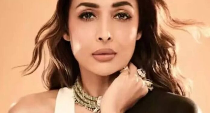 मलाइका अरोड़ा की फैन घुस गई चुपके से उसके घर में, फिर कैसे हैंडल किया एक्ट्रेस ने ,जानें…