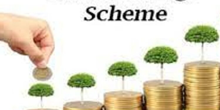 छोटी बचत योजनाओं पर मिलने वाले ब्याज दरों में क्या बदलाव हुआ , चेक करें नई ब्याज दर…