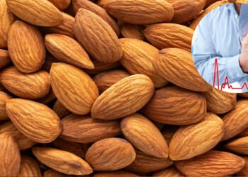 हार्ट अटैक से बचना है तो रोज खाएं बादाम, जानिए एक व्यक्ति को हर दिन कितने बादाम खाने चाहिए..