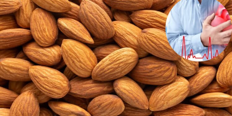 हार्ट अटैक से बचना है तो रोज खाएं बादाम, जानिए एक व्यक्ति को हर दिन कितने बादाम खाने चाहिए..