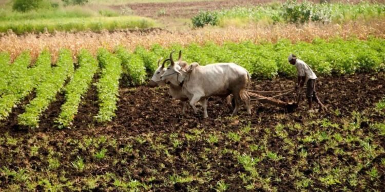 पीएम किसान योजना में छत्तीसगढ़ का ये जिला पहले स्थान पर…