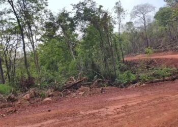 अबूझमाड़ में नारायणपुर दंतेवाड़ा सीमा पर बड़ी नक्सली मुठभेड़, कई माओवादी ढेर…