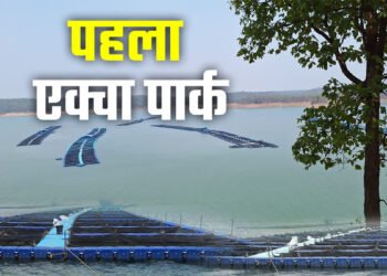छत्तीसगढ़ का पहला एक्वा पार्क कोरबा में लेगा आकार, फिश प्रोसेसिंग प्लांट के साथ म्यूजियम बनाने की तैयारी…