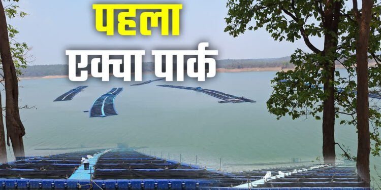 छत्तीसगढ़ का पहला एक्वा पार्क कोरबा में लेगा आकार, फिश प्रोसेसिंग प्लांट के साथ म्यूजियम बनाने की तैयारी…