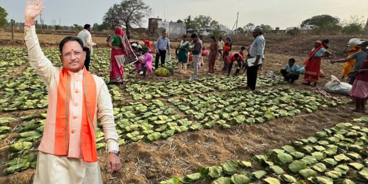 चरण पादुका योजना: जशपुर के तपकरा से सीएम विष्णुदेव साय करेंगे शुभारंभ