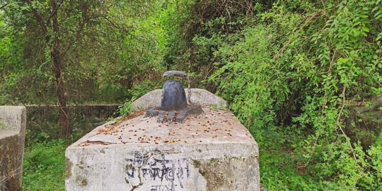 नाथ समुदाय की अनोखी परंपरा, समाधि के ऊपर बनाते हैं शिवलिंग, जन्म से लेकर मृत्यु तक शिव में ही लीन