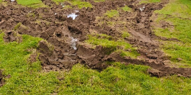 दीनदयाल चौक पर आयोजन बना खतरा – उजड़ने की कगार पर हरा-भरा परिसर”