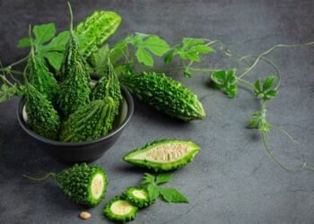 अश्विन माह का नियम, करेला खाना माना जाता है अशुभ, जानिए धार्मिक और पौराणिक कारण…