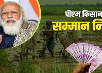 एक जमीन के सभी हिस्सेदारों को मिलेगा पीएम सम्मान निधि का लाभ, सभी के खाते में आएंगे 2000 रुपए, दिवाली से पहले मोदी सरकार का बड़ा फैसला…
