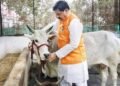 अब गौ-शालाएँ बनेंगी गौ-मंदिर, गोवर्धन पूजन पर मुख्यमंत्री ने किया ये बड़ा ऐलान, किसानों को मिलेगा अतिरिक्त बोनस…