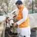 अब गौ-शालाएँ बनेंगी गौ-मंदिर, गोवर्धन पूजन पर मुख्यमंत्री ने किया ये बड़ा ऐलान, किसानों को मिलेगा अतिरिक्त बोनस…