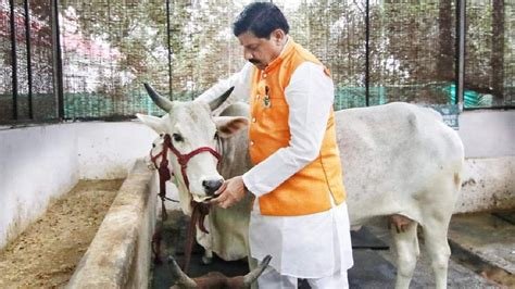 अब गौ-शालाएँ बनेंगी गौ-मंदिर, गोवर्धन पूजन पर मुख्यमंत्री ने किया ये बड़ा ऐलान, किसानों को मिलेगा अतिरिक्त बोनस…