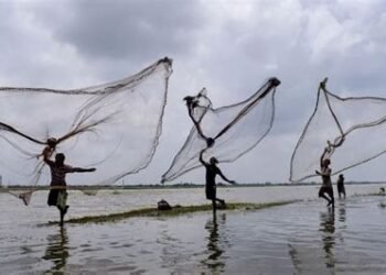 देशी मछली पालकों को मिलेगा जल कृषि बीमा योजना का लाभ…