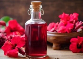 गुड़हल के फूल से घर पर बनायें तेल और बालों पर लगाएं, मजबूत हो जाएंगे बाल…