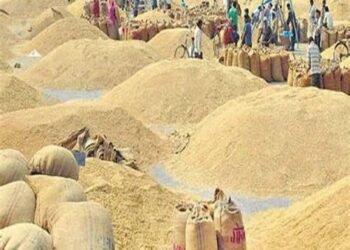 धान खरीदी पर होगी हाईटेक निगरानी, अब नहीं चलेगा फर्जीवाड़ा, प्रशासन सख्त…