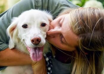 अगर आपको भी है Pets को अपने साथ सुलाने की आदत, तो अभी बदलें नहीं तो होंगे ये नुकसान…