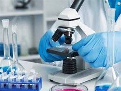 सभी लैब टेक्नीशियनों को मिलेगा समान वेतन, छत्तीसगढ़ हाईकोर्ट का बड़ा फैसला, इतने ग्रेड पे देने का राज्य सरकार को दिए निर्देश…