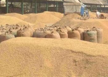 किसानों के लिए बड़ी खुशखबरी, प्रदेश में नवंबर से होगी धान खरीदी, 60 लाख मीट्रिक का लक्ष्य, जानिए कब से कटेगा टोकन…