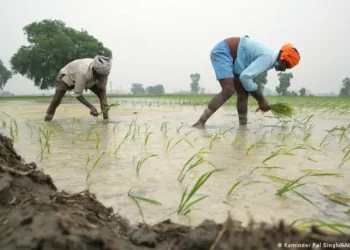 किसानों से ईंधन तक: भारत का बायोफ्यूल मिशन बना हरित क्रांति का नया अध्याय