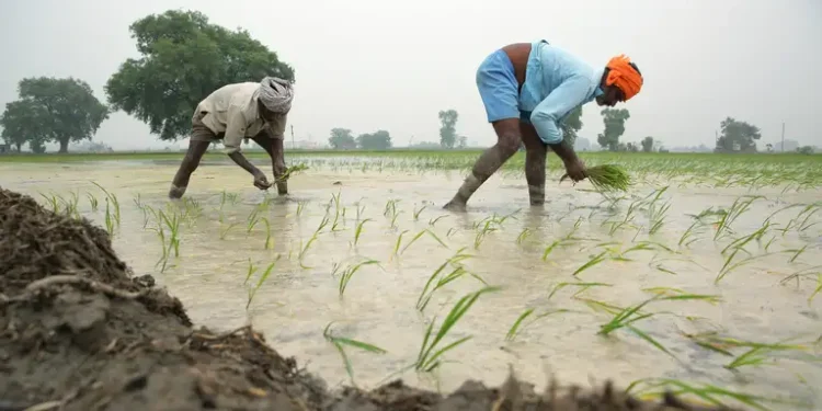 किसानों से ईंधन तक: भारत का बायोफ्यूल मिशन बना हरित क्रांति का नया अध्याय