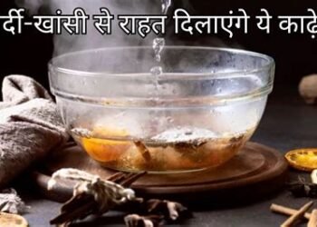 सर्दियों में नहीं होगी सर्दी-जुकाम की टेंशन, अपनाएं ये 5 आयुर्वेदिक काढ़े और बढ़ाएं इम्यूनिटी…