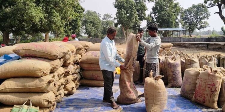 किसानों के हित में सरकार का फैसलाधान खरीदी व्यवस्था में आई पारदर्शितासमय पर भुगतान से बढ़ा किसानों का भरोसा