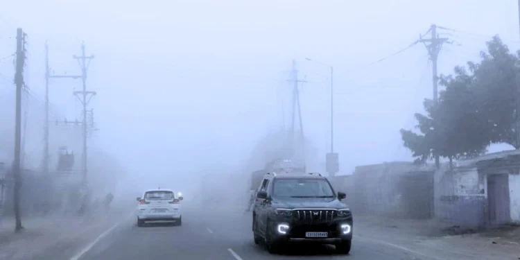 छत्तीसगढ़ में ठंड और कोहरे का असर, स्वास्थ्य विभाग ने जारी की सतर्कता सलाह