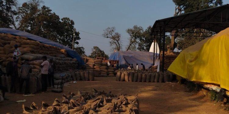 जिला कोंडागांव के खरीदी केंद्र सलना में इन दिनों गंभीर समस्या उत्पन्न हो गई है…