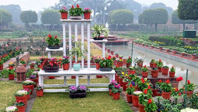 3 फरवरी से आम जनता के लिए खुलेगा राष्ट्रपति भवन का अमृत उद्यान, इतने मार्च 2026 तक कर सकेंगे भ्रमण…