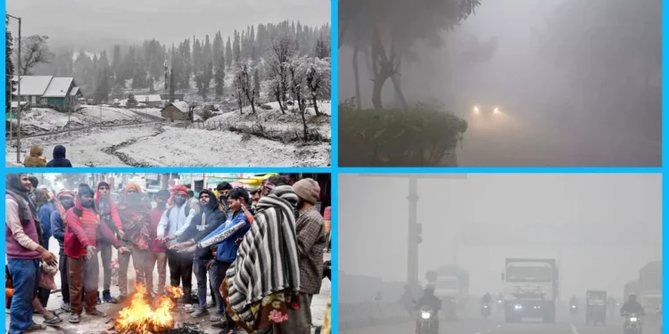 उत्तर भारत में कड़ाके की ठंड और पहाड़ों पर भारी बर्फबारी, यहां ‘येलो अलर्ट’ जारी…