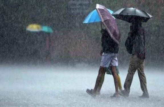 प्रदेश में फिर करवट ले रहा मौसम, जानिए किन जिलों में होगी बारिश