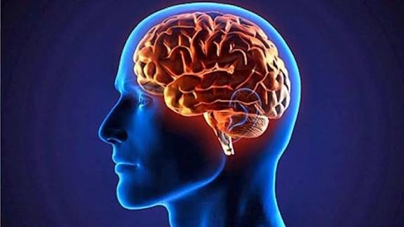 सावधान आपकी ये 7 आदतें दे रही हैं ब्रेन स्ट्रोक को न्योता, बचने के ये अचूक और आसान तरीके…