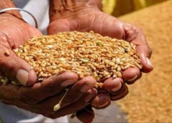 प्रदेश के 82 लाख परिवारों को बड़ी राहत; फरवरी में ही मिलेगा इतने महीने का राशन, सरकार ने जारी किए निर्देश…