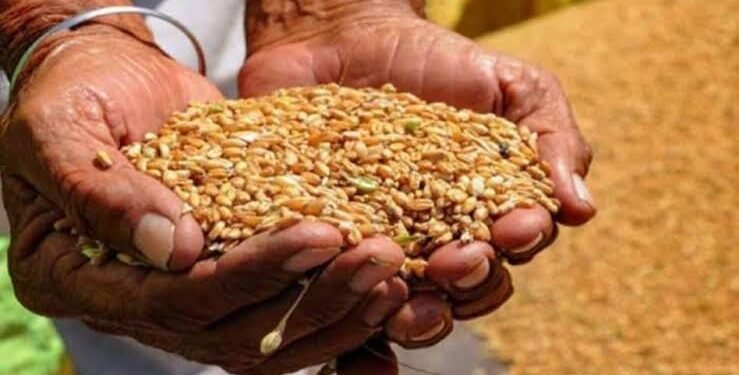 प्रदेश के 82 लाख परिवारों को बड़ी राहत; फरवरी में ही मिलेगा इतने महीने का राशन, सरकार ने जारी किए निर्देश…