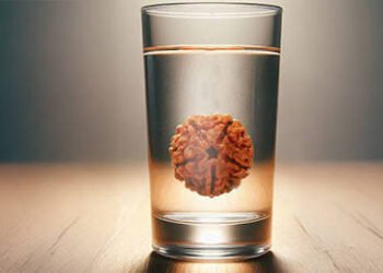 रुद्राक्ष का पानी रोज़ पीने से मिलते हैं ये चौंकाने वाले फायदे, भक्ति के साथ सेहत का भी होता है मिलन…