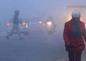 उत्तर भारत में कड़ाके की ठंड और कोहरे का डबल अटैक, इन राज्यों में बारिश और शीतलहर का अलर्ट…