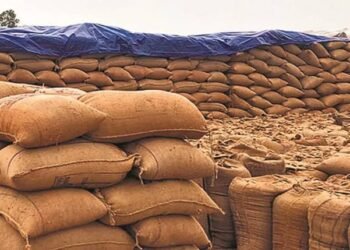 धान खरीदी अब अपने अंतिम चरण पर, इस तारीख तक धान बेच सकेंगे किसान…