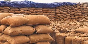 धान खरीदी अब अपने अंतिम चरण पर, इस तारीख तक धान बेच सकेंगे किसान…