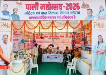 पाली महोत्सव में महिला एवं बाल विकास विभाग की योजनाओं पर आधारित आकर्षक स्टॉल