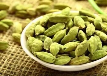 क्या आप भी करते हैं जरूरत से ज्यादा छोटी इलायची का सेवन यहां पढ़ लें, इसके ये नुकसान…