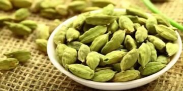 क्या आप भी करते हैं जरूरत से ज्यादा छोटी इलायची का सेवन यहां पढ़ लें, इसके ये नुकसान…