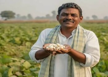 बजट में किसानों, कर्मचारियों और आम जनता के लिए खुशखबरी Tax में राहत, साथ ही इन योजनाओं पर रहेगा फोकस…