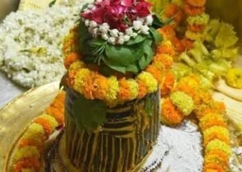 रंगभरी एकादशी के दिन शिवलिंग पर गुलाल चढ़ाने की ये महिमा जानिए, विधिवत पूजा से मिलेगी कृपा…