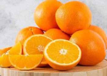 रोज़ाना एक संतरा खाएं तो ये फायदे होंगे पढ़ते साथ आप शुरू कर देंगे खाना…